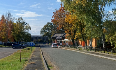 Lipovica