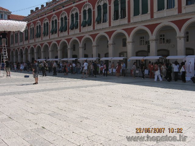Dani Volontera3