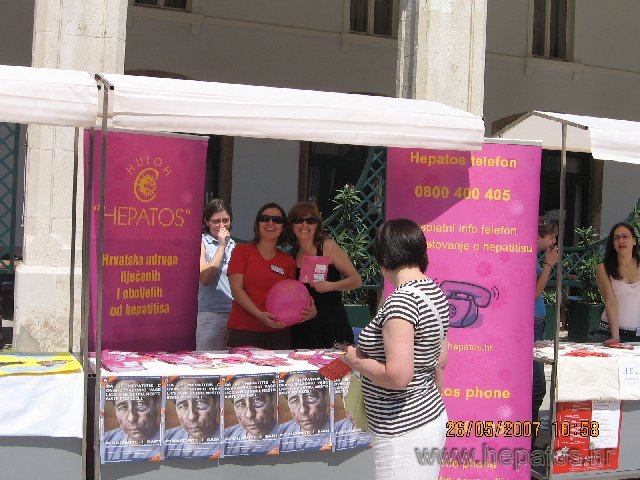 Dani Volontera6