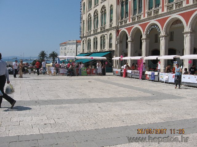 Dani Volontera7