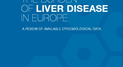 Easl Literature Review