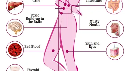 Hcv Effects On Body