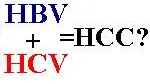 Hcv Hbv Hcc