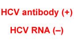 HCV RNA