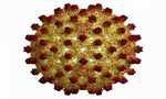 hepatitis B