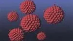 Hepatitis B Virus
