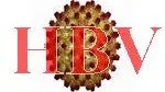 Hepatitis B Virus