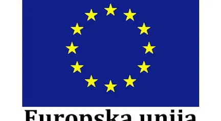 Logo Euflag1