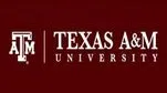 Texas Am University